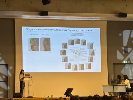 Anna presenting on S-layers at ClostPath