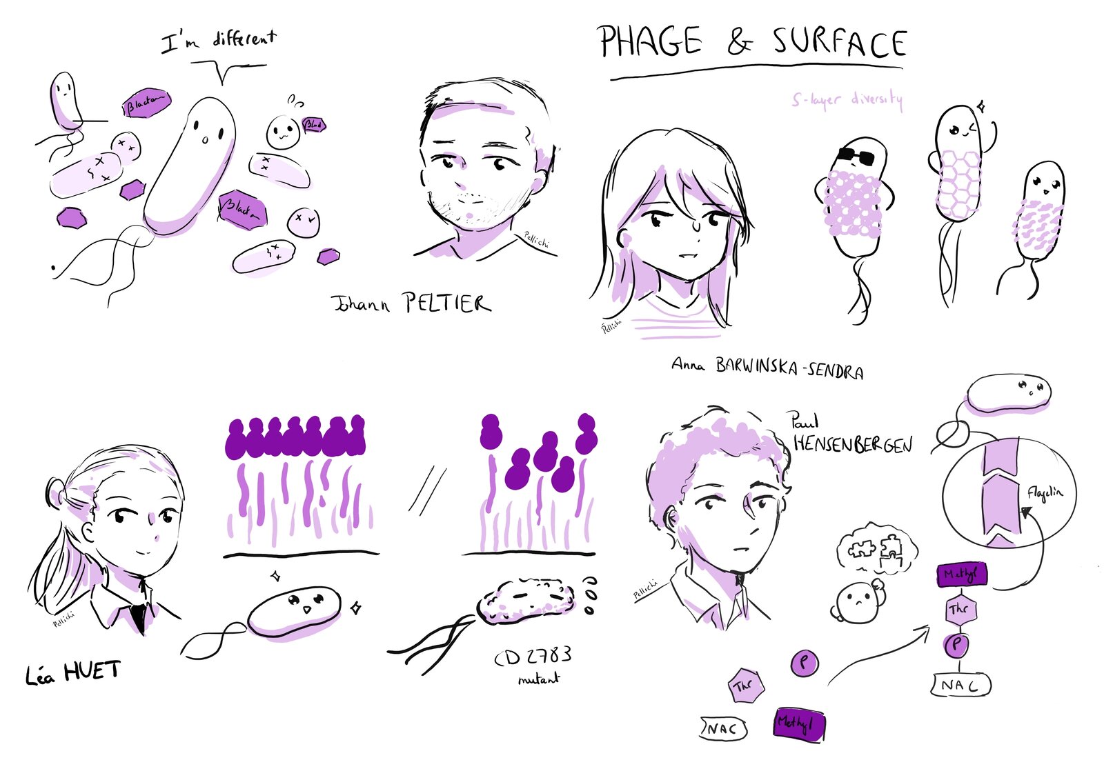 Anna Barwinska-Sendra talk illustration